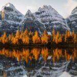 Moraine Lake & Lake Louise Sunset & Wildlife Adventure - Who Will Appreciate This Tour?