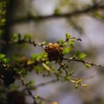 Moraine Lake & Larch Valley Hike - Final Thoughts: Who Is This Tour Best For?