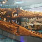 Morden, Manitoba: Full-Day Fossil Dig Tour with Instructor - The Value of This Fossil Dig Experience