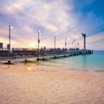 Moreton Island: Desert Safari Tour & Dolphin Viewing - Wildlife Encounters and Eco-Activities