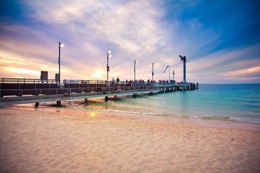Moreton Island: Desert Safari Tour & Dolphin Viewing - Wildlife Encounters and Eco-Activities