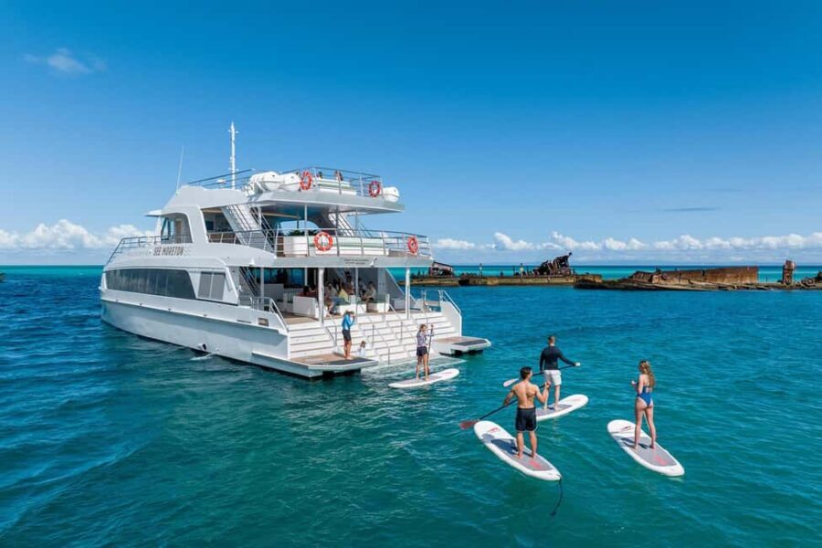 Moreton Island: Premium Tangalooma Snorkel & Dolphin Tour - The Full Experience: What to Expect from Start to Finish