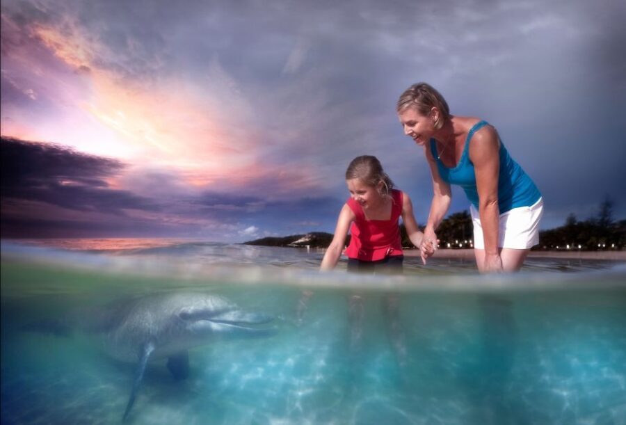 Moreton Island: Tangalooma ATV Quad Bike & Dolphin Feeding - Analyzing the Overall Value