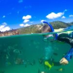 Moreton Island: Tangalooma Day Trip with Snorkeling Tour - Snorkeling at the Tangalooma Wrecks