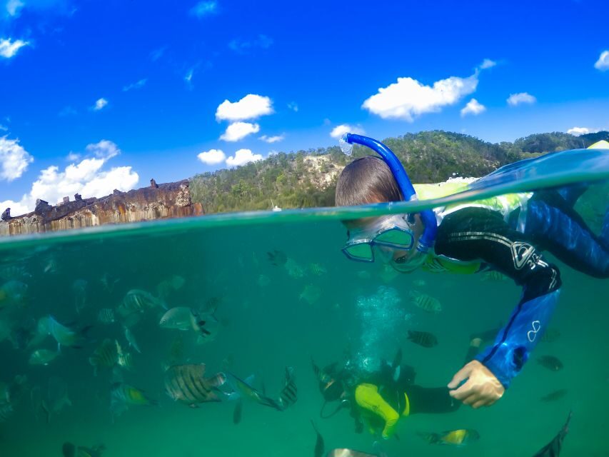 Moreton Island: Tangalooma Day Trip with Snorkeling Tour - Snorkeling at the Tangalooma Wrecks
