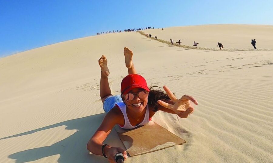 Moreton Island: Tangalooma Desert Safari and Dolphin Feeding - What Makes This Tour Stand Out?