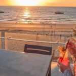Moreton Island: Tangalooma Whale Watching & Dolphin Viewing - What Sets This Tour Apart?