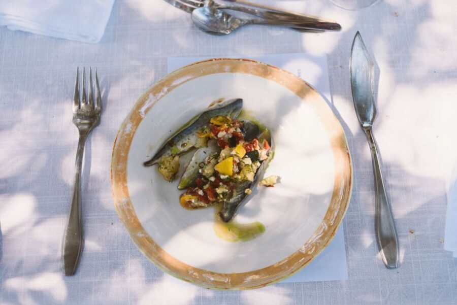 Morgado do Quintão Lunch and Wine Tasting - Who Will Love This Tour?