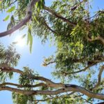 Morning Cruise on the Murchison River in Kalbarri (April to Nov) - The Sum Up