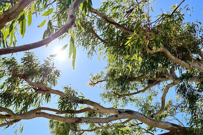 Morning Cruise on the Murchison River in Kalbarri (April to Nov) - The Sum Up
