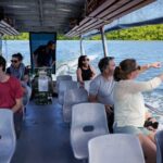 Morning Daintree Tour with River Cruise from Port Douglas - Who Is This Tour Best Suited For?