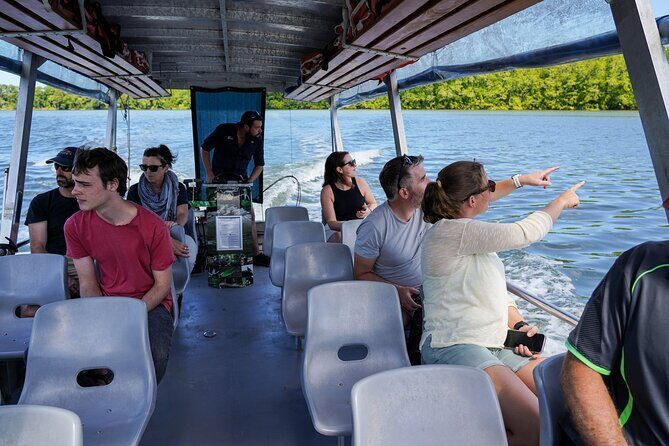 Morning Daintree Tour with River Cruise from Port Douglas - Who Is This Tour Best Suited For?