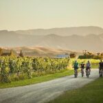 Morning Guided with Afternoon Self-Guided Biking Wine Tour - FAQ