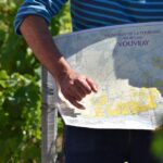 Morning - Loire Valley Wine Tour & Food Pairing, Vouvray - Exploring the Tour in Detail