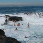 Morning or Afternoon Highlights Tour in Sydney with a Local Guide - Why This Tour Might Be Perfect for You