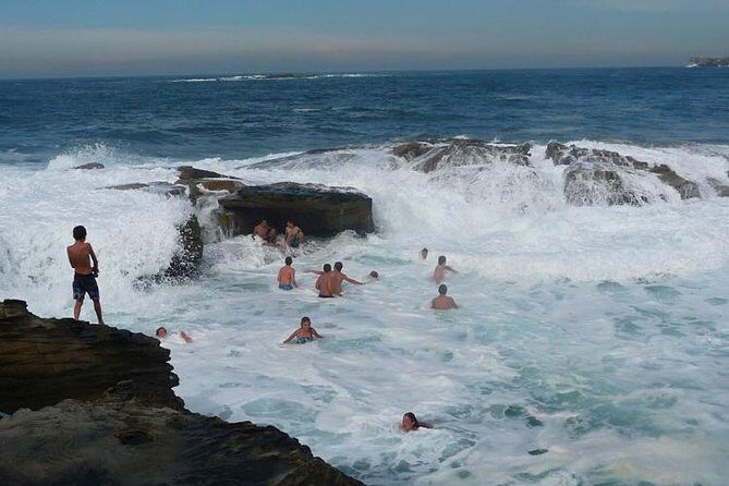Morning or Afternoon Highlights Tour in Sydney with a Local Guide - Why This Tour Might Be Perfect for You