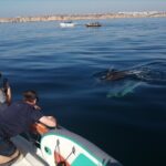 Morning private charter with drinks tapas, paddle boards &kayak - Exploring the Itinerary: What You Can Expect