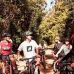 Mornington Peninsula guided e-bike tour - Who Is This Tour Best For?