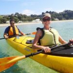 Mornington Peninsula Kayak Coastline Tour of Dolphin Sanctuary - Who Should Consider This Tour?