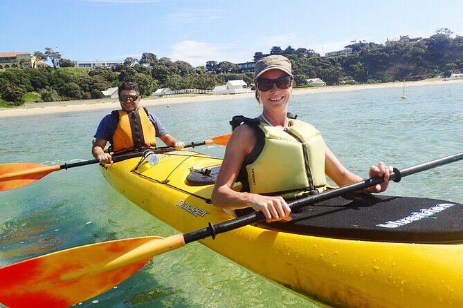 Mornington Peninsula Kayak Coastline Tour of Dolphin Sanctuary - Who Should Consider This Tour?
