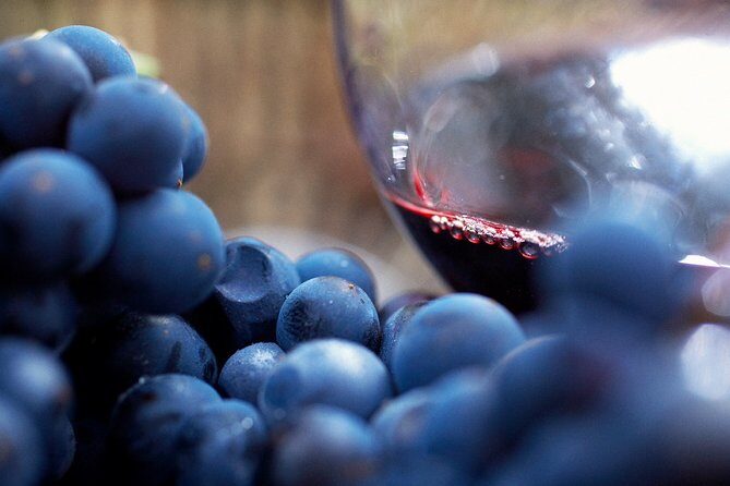 Mornington Peninsula Lunch, Wine & Pt Leo Estate Art Walk - Who This Tour Suits Best