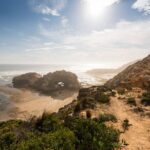 Mornington Peninsula Sightseeing and Bay Cruise - Who Is This Tour Best For?