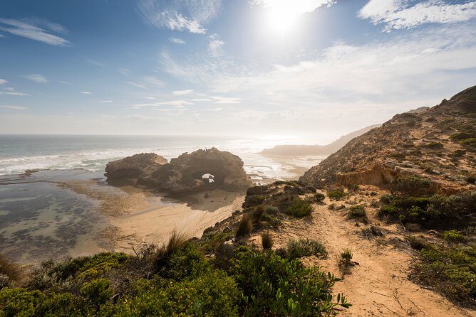 Mornington Peninsula Sightseeing and Bay Cruise - Who Is This Tour Best For?