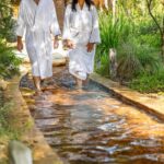 Mornington Peninsula Small Group Hot Springs, Lunch & Winery Tour - An In-Depth Look at the Mornington Peninsula Tour