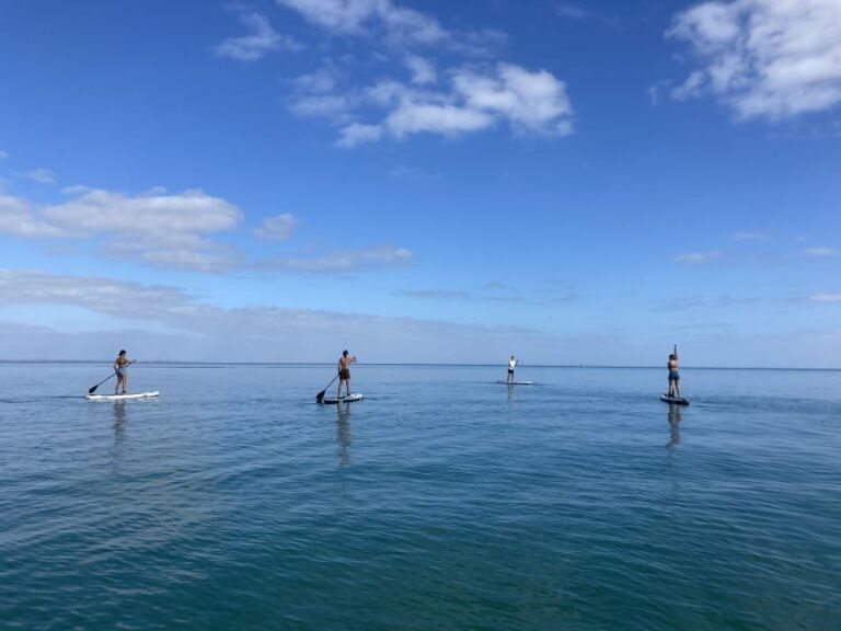 Mornington Peninsula: SUP, Hike, & Hot Springs Trip w/ Lunch - Coastal Hike and Rock Pools