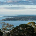Mornington Peninsula Tour: wildlife, wine, art & hot springs - Practical details: What to expect and how to prepare