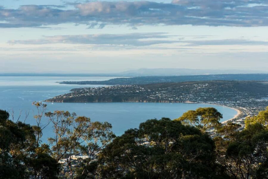 Mornington Peninsula Tour: wildlife, wine, art & hot springs - Practical details: What to expect and how to prepare