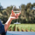 Mornington Peninsula Wine Tasting and Wellness Escape - Authentic Experiences and Real Feedback