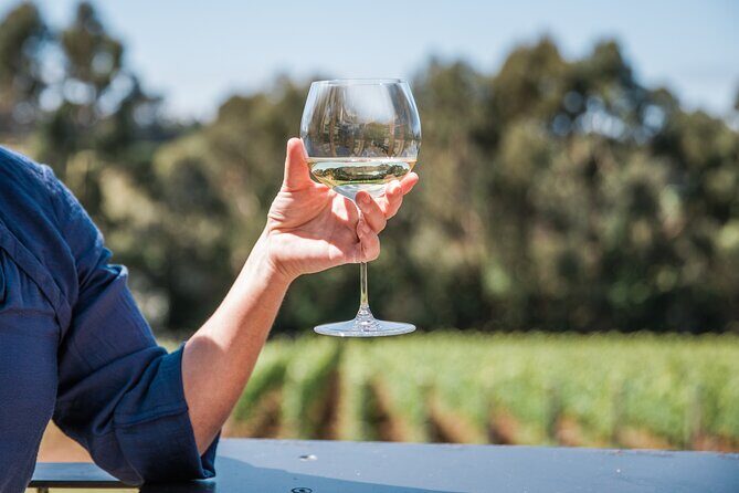 Mornington Peninsula Wine Tasting and Wellness Escape - Authentic Experiences and Real Feedback