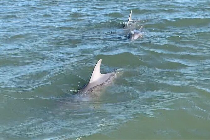 Morris Island Private Excursion - In-Depth Review of the Morris Island Private Excursion