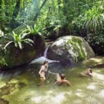 Mossman Gorge Daintree Experience Small Groups - What Makes This Tour Stand Out?