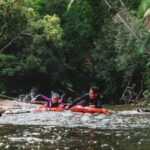 Mossman Gorge: Day Tour with River Drift Experience - What Makes This Tour a Good Choice?