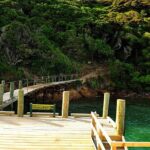 Motuara Island Bird Sanctuary and Ship Cove Cruise from Picton - What Works Well