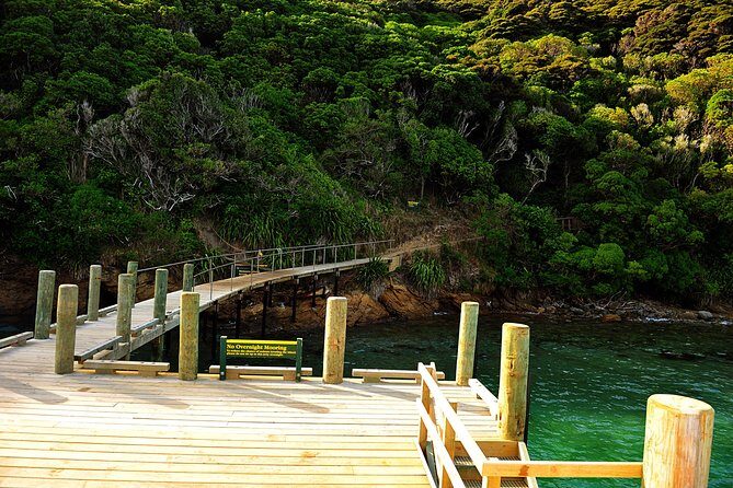 Motuara Island Bird Sanctuary and Ship Cove Cruise from Picton - What Works Well