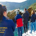 Motuara Island Sanctuary: Wildlife & Dolphin Watching Tour - Visiting Motuara Island: A Bird Sanctuary