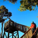 Motuara Wildlife Sanctuary Tour and Dolphin Cruise from Picton - Who Will Appreciate This Tour?