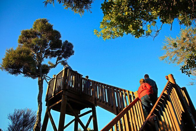 Motuara Wildlife Sanctuary Tour and Dolphin Cruise from Picton - Who Will Appreciate This Tour?