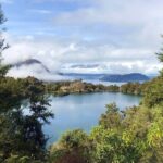 Mou Waho Island Cruise & Self-Guided Nature Walk - Final Thoughts: Is This Tour for You?