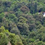 Mount Athos Full Day Cruise from Thessaloniki - Why It’s Worth the Price