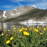Mount Blue Sky 14,265ft Summit and Glacial Lakes - Why This Tour Offers Good Value