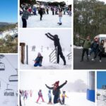 Mount Buller 1 Day Guided Tour - An In-Depth Look at the Mount Buller Guided Tour