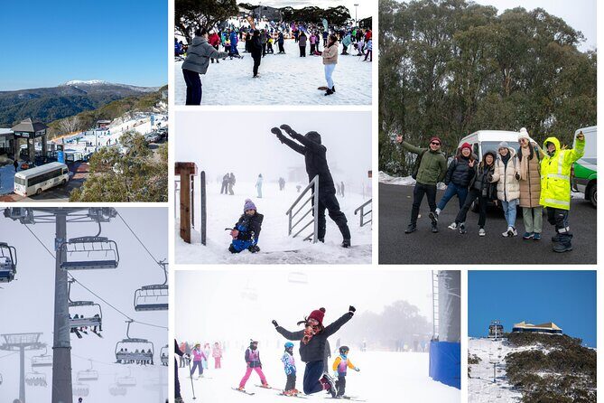 Mount Buller 1 Day Guided Tour - An In-Depth Look at the Mount Buller Guided Tour