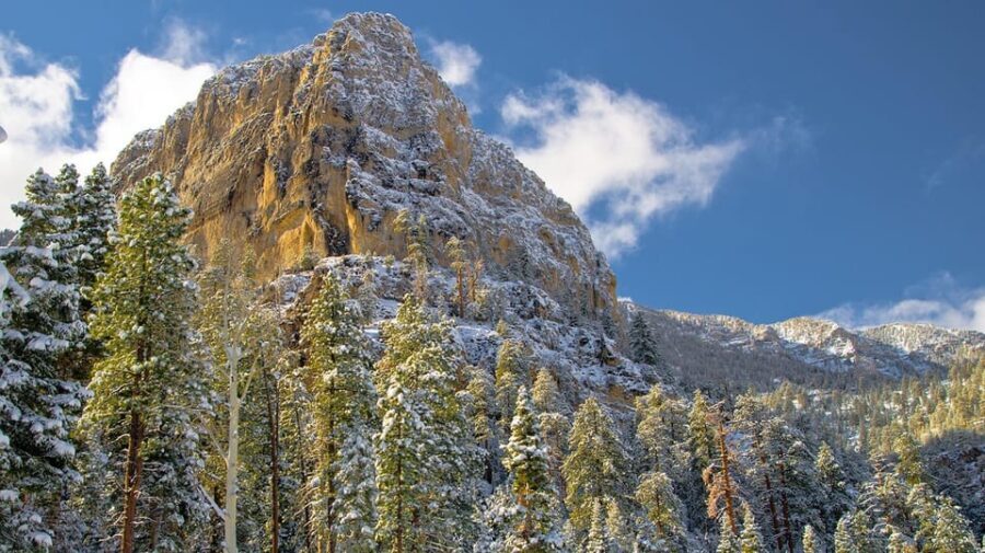 Mount Charleston Driving Adventure: Escape to Nature - Whats Included and How It Adds Value