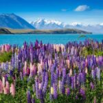 Mount Cook Day Tour: Mount Cook to Christchurch - The Landscape and the Experience