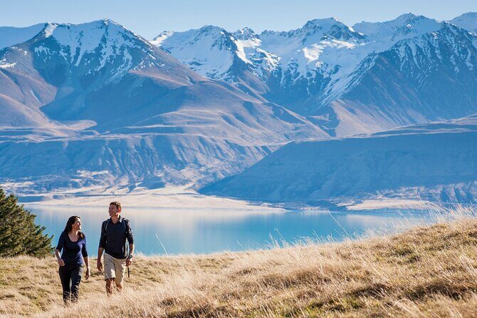 Mount Cook Small Group Scenic Tour - What Travelers Are Saying