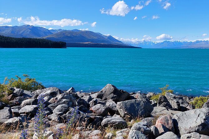Mount Cook Tour: Finish at Queenstown, Christchurch or Dunedin - Who Is This Tour Best For?